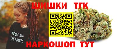 индика Кандалакша